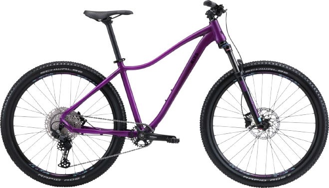 BiXS MARIPOSA 100 PURPLE purple