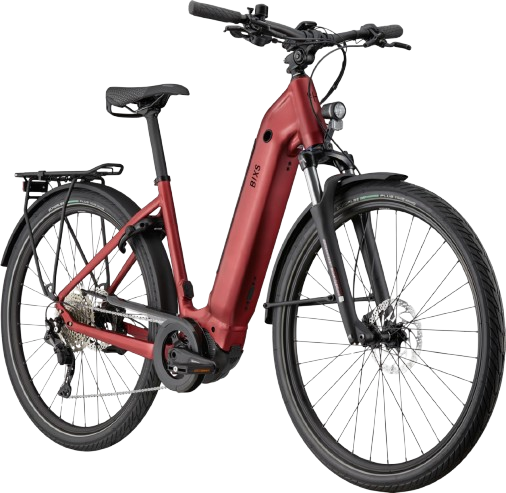 BiXS CAMPUS E30 DI dark berry