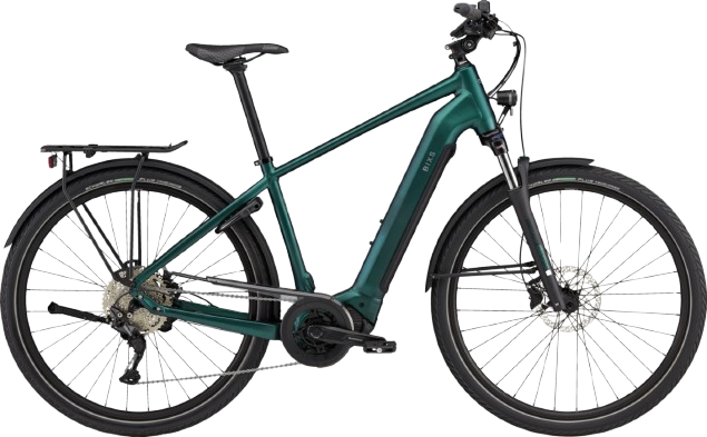 BiXS CAMPUS E30 forest green