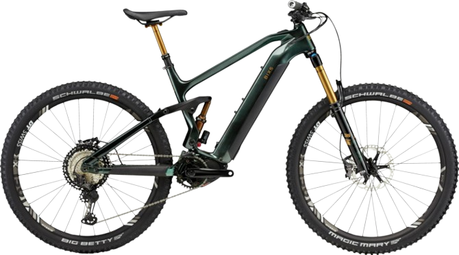 BiXS SAUVAGE EX dark green
