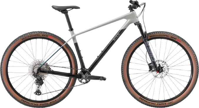 BiXS CORE 100 grey/raw carbon