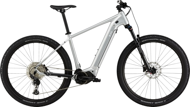 BiXS CORE E22 silver matt