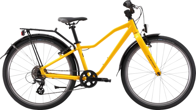 Mustang Appaloosa yellow