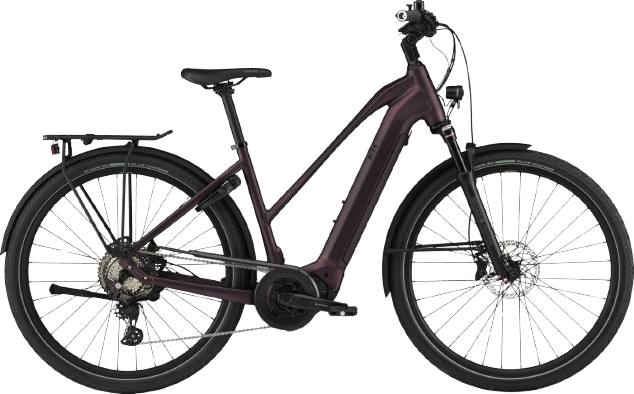 BiXS CAMPUS E10 GOR dark purple
