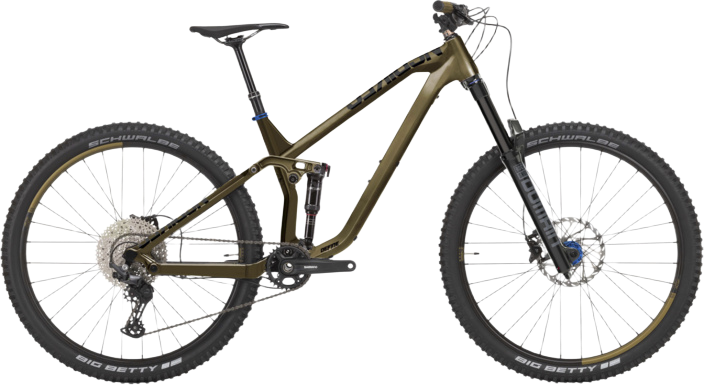 Define AL 155 2 olive